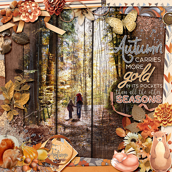 Falling into Autumn
