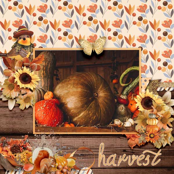 Falling into Autumn