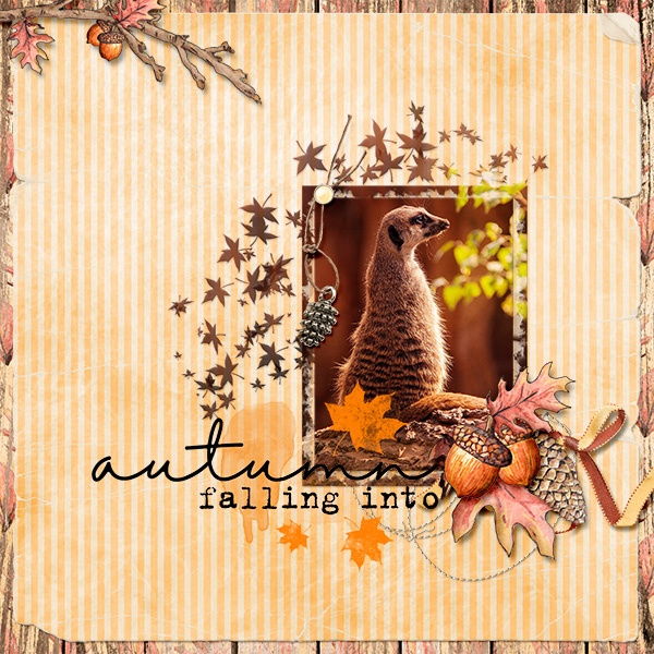Falling into Autumn