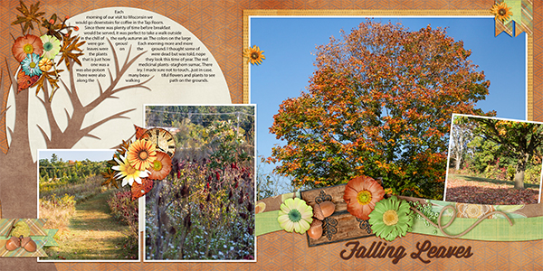 Falling Leaves in Wisconsin