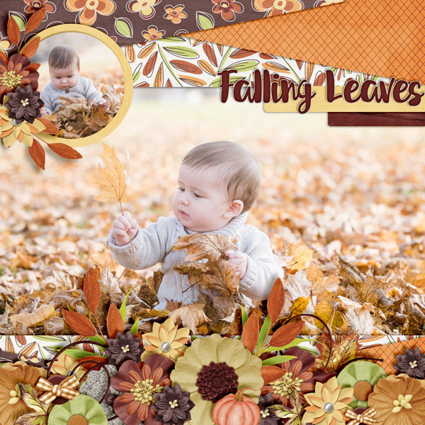 Falling-Leaves1
