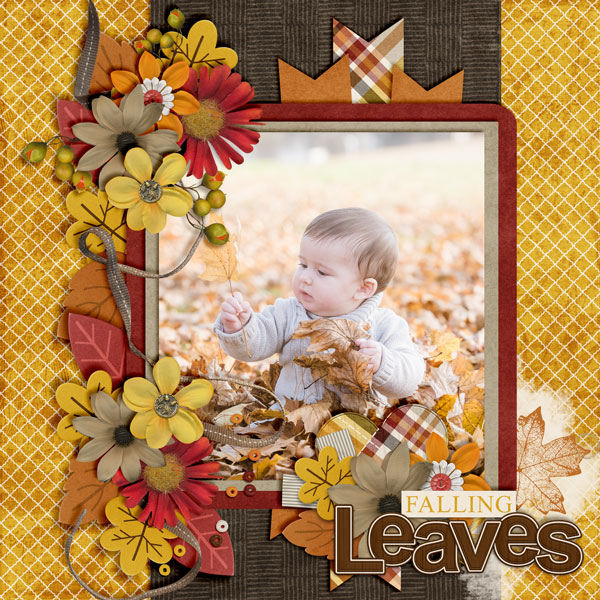 Falling-Leaves12