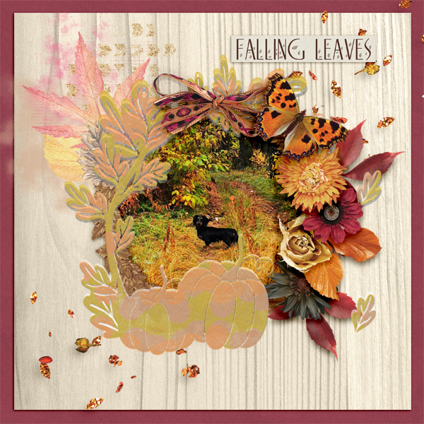 Falling-leaves14