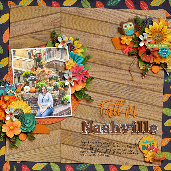 fallinnashville