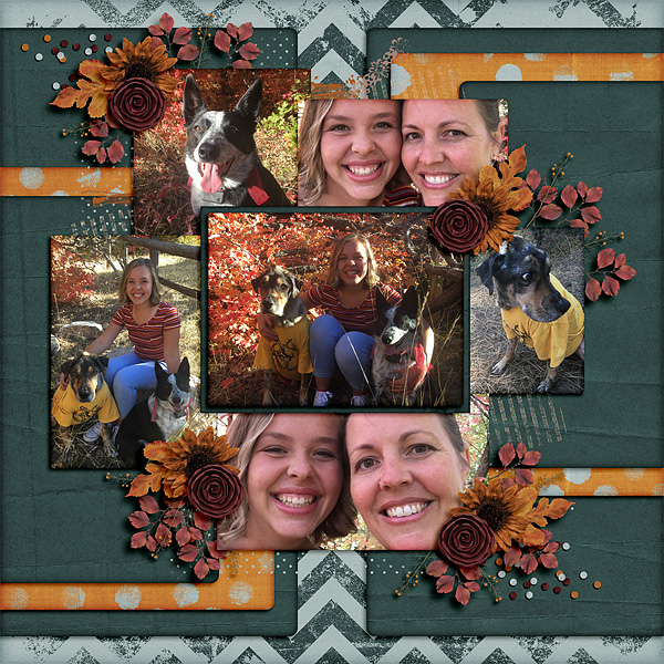 FallLeaves1