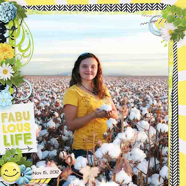Falubous_life_web