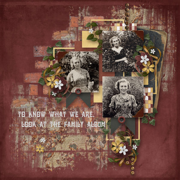 family-album-