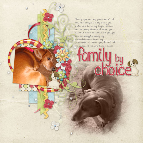 Family by Choice