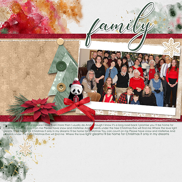 Family Christmas