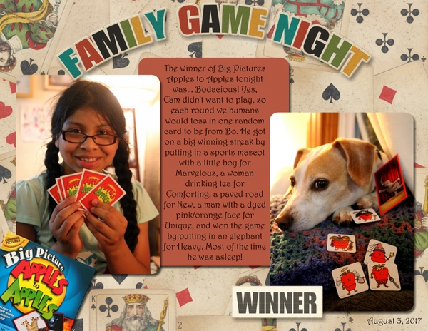 Family Game Night Winner
