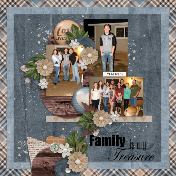 Family is my Treasure
