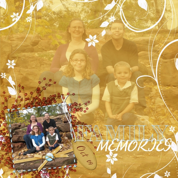 family memories