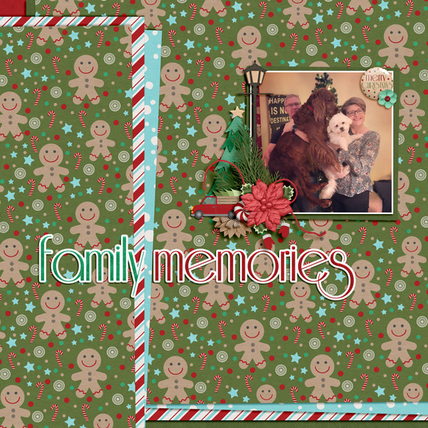 Family Memories