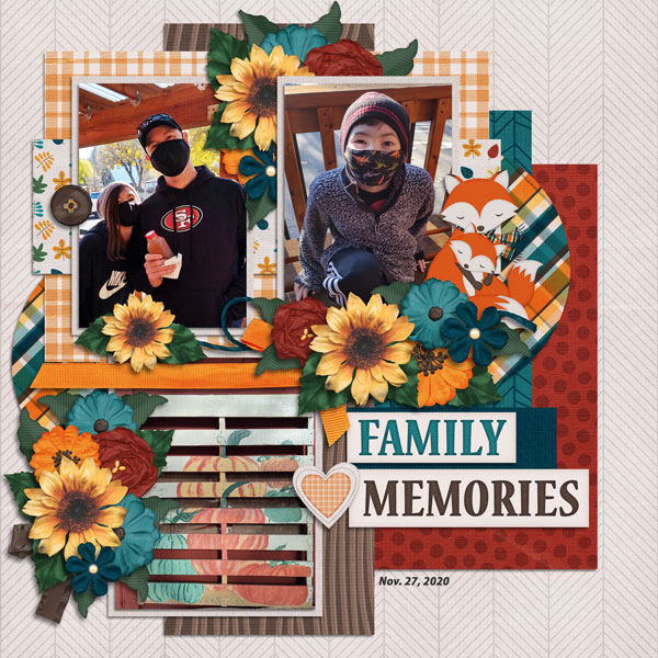family memories