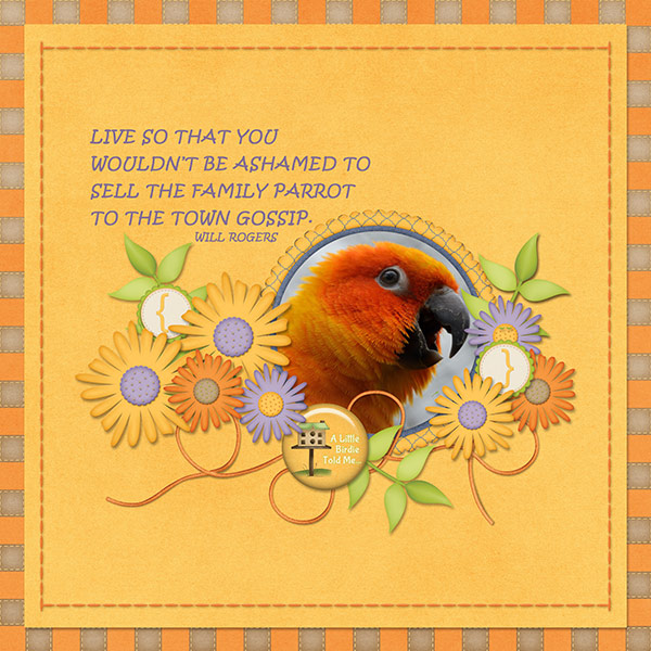 Family Parrot
