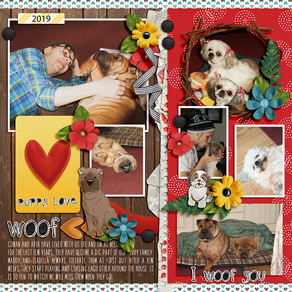 Family Pets