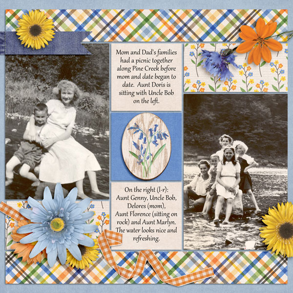 Family picnic - color challenge