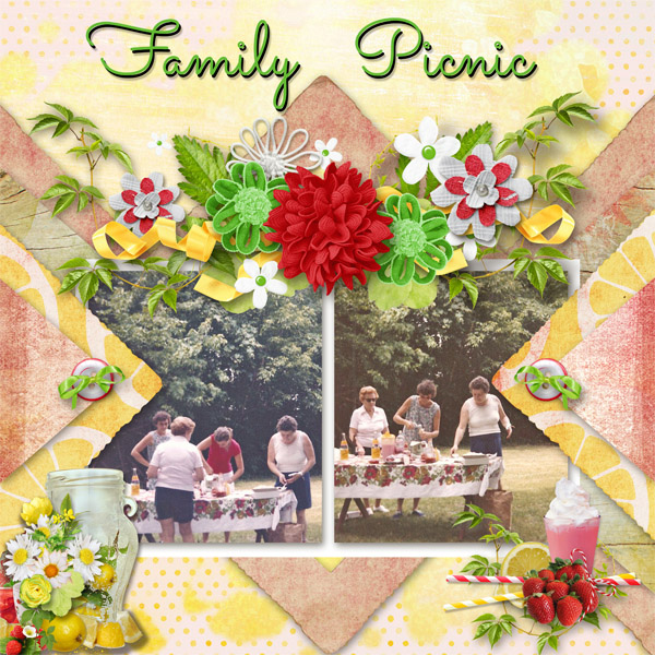 Family Picnic