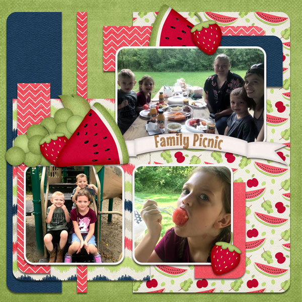 Family Picnic