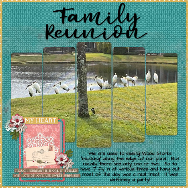 Family Reunion