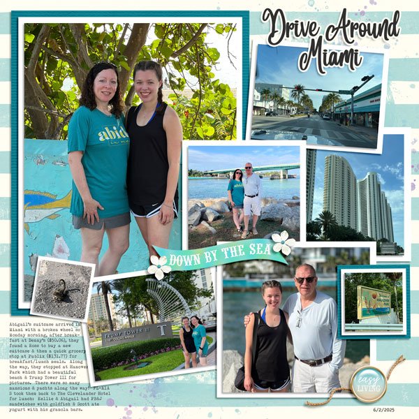 Family Vacation - Miami Errands