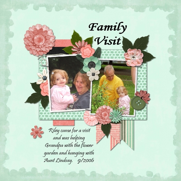Family Visit-Template Ch #2 3-2019