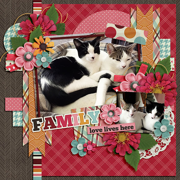 family