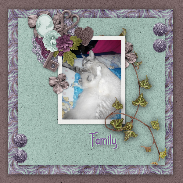 Family