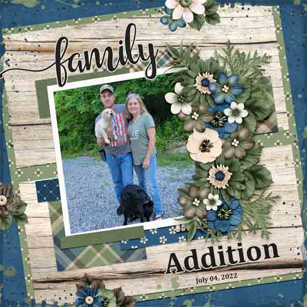Family_Addition