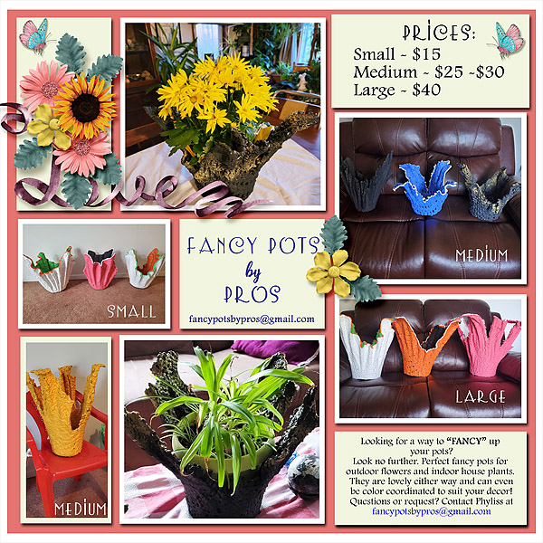 Fancy  Pots