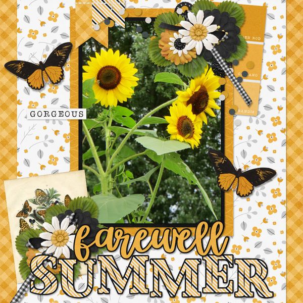 Farewell Summer