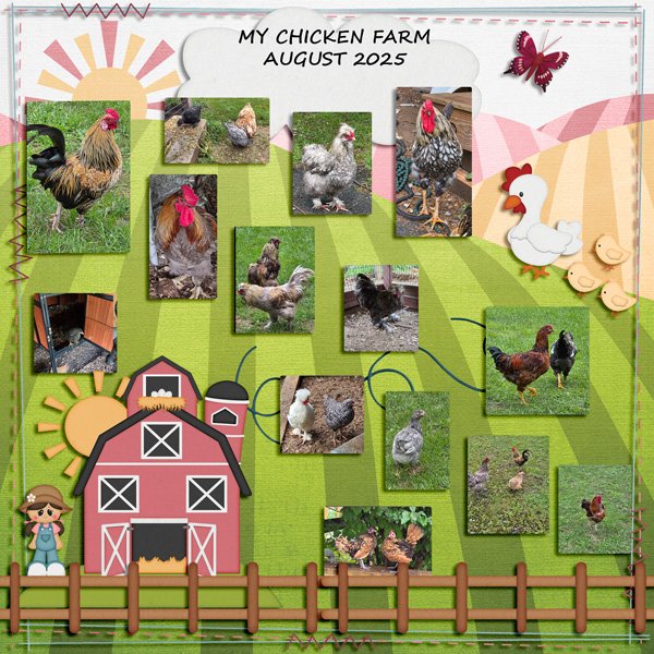 FARM-9-25=-WEB.jpg