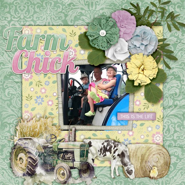 Farm-chick.jpg