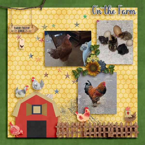 FARM -DESIGNER-5-24