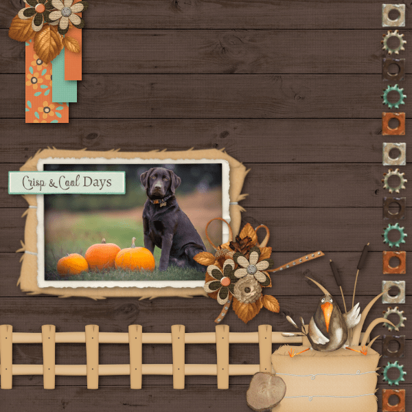 Farm Dog