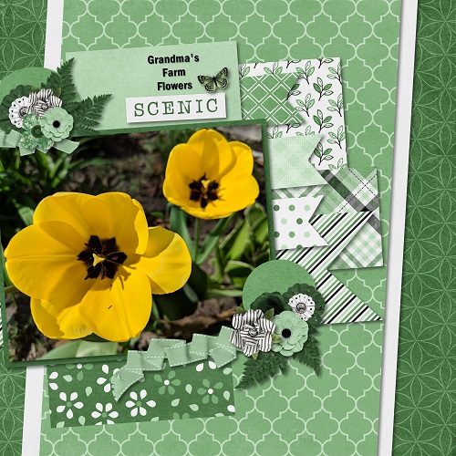 Farm Flowers