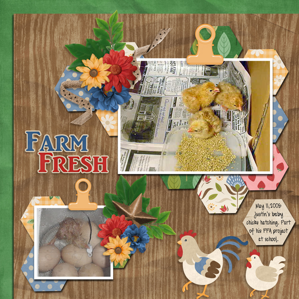Farm Fresh-Aimee Honeycomb Templates #2-ScrapbookCrazy