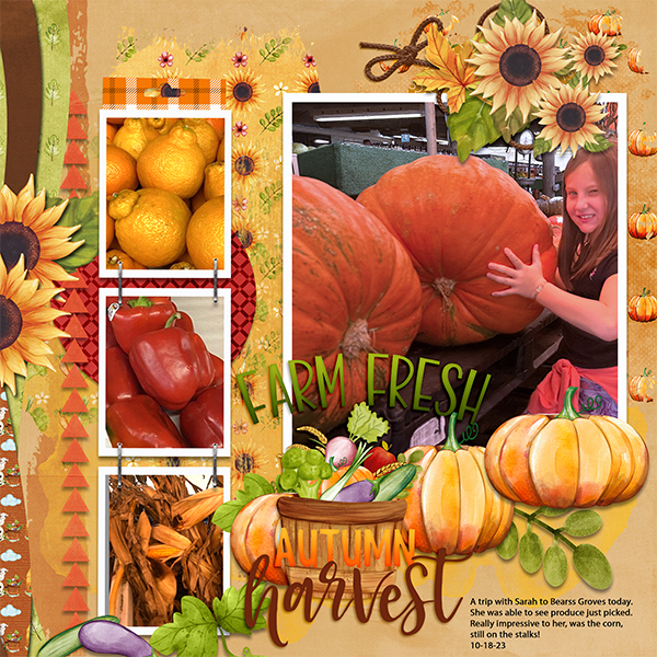 Farm Fresh Harvest