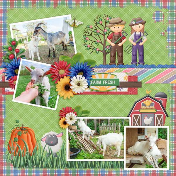 farm-fresh-let-me-scrapbook