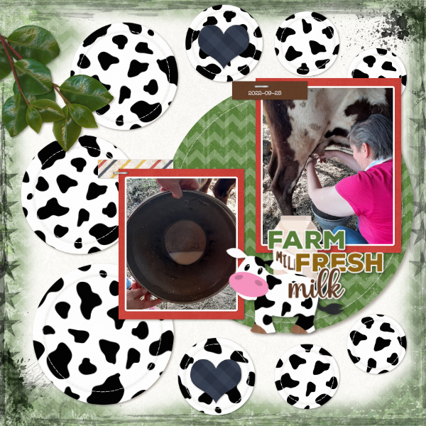 Farm fresh milk