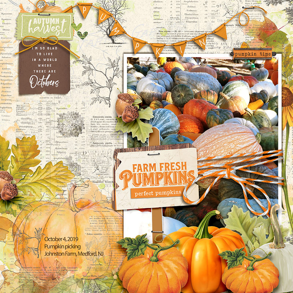 Farm Fresh Pumpkins