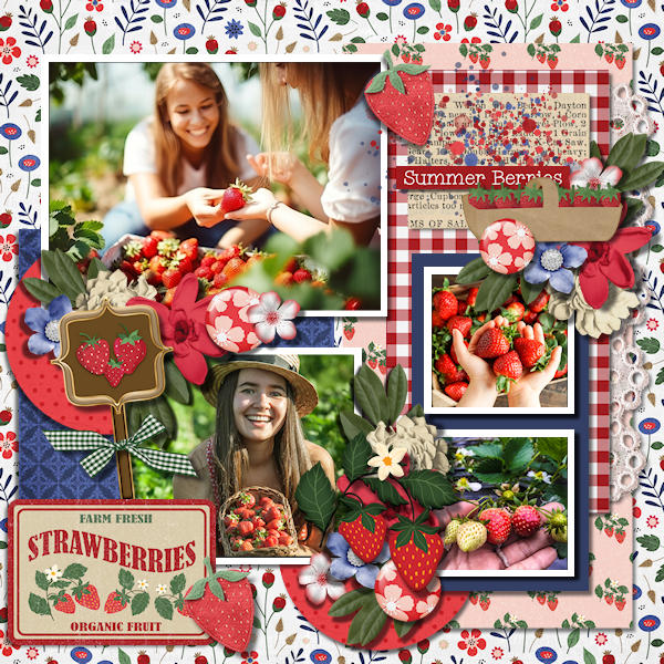 Farm Fresh Strawberries