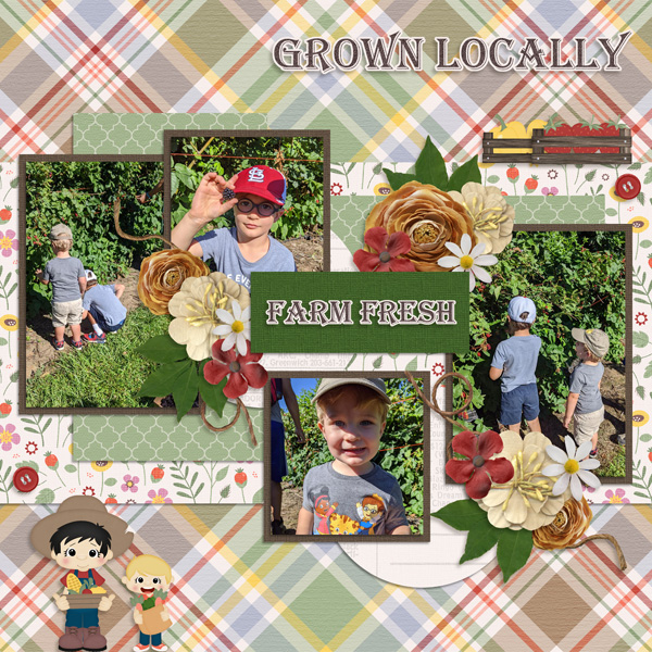 Farm Fresh-WimpyChompers