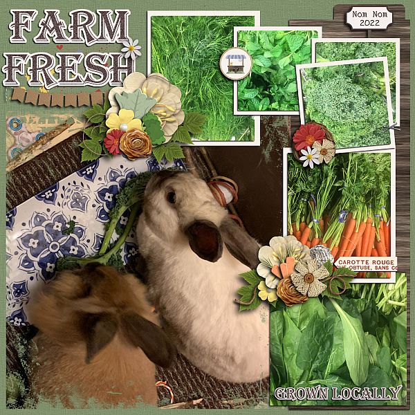 Farm Fresh