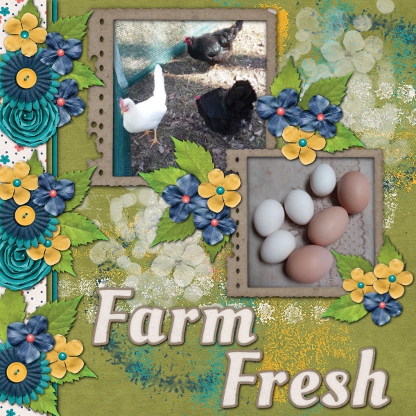Farm Fresh