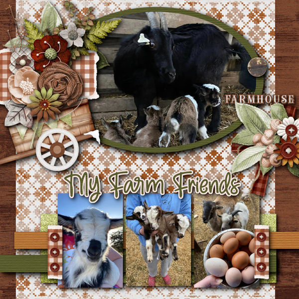 Farm Friends