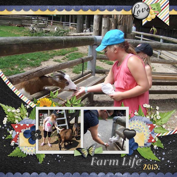 Farm Life