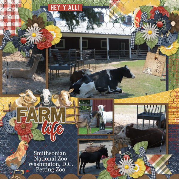 Farm Life