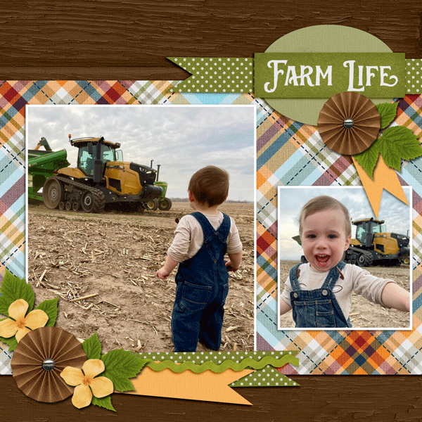 Farm Life