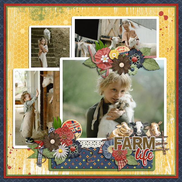 Farm Life